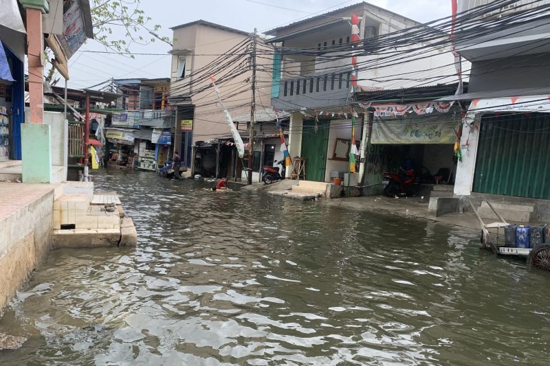 Banjir Rob Rendam Dua RT di Pluit, Ketinggian Air Mencapai 55 Cm